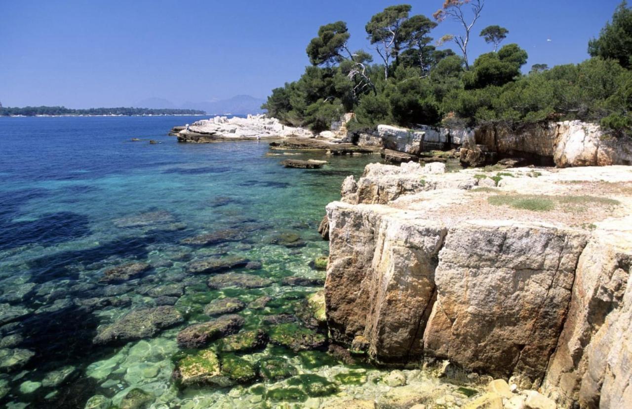 Heavnstay Centre I Appartement Cannes